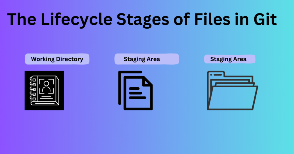 Git Life Cycle